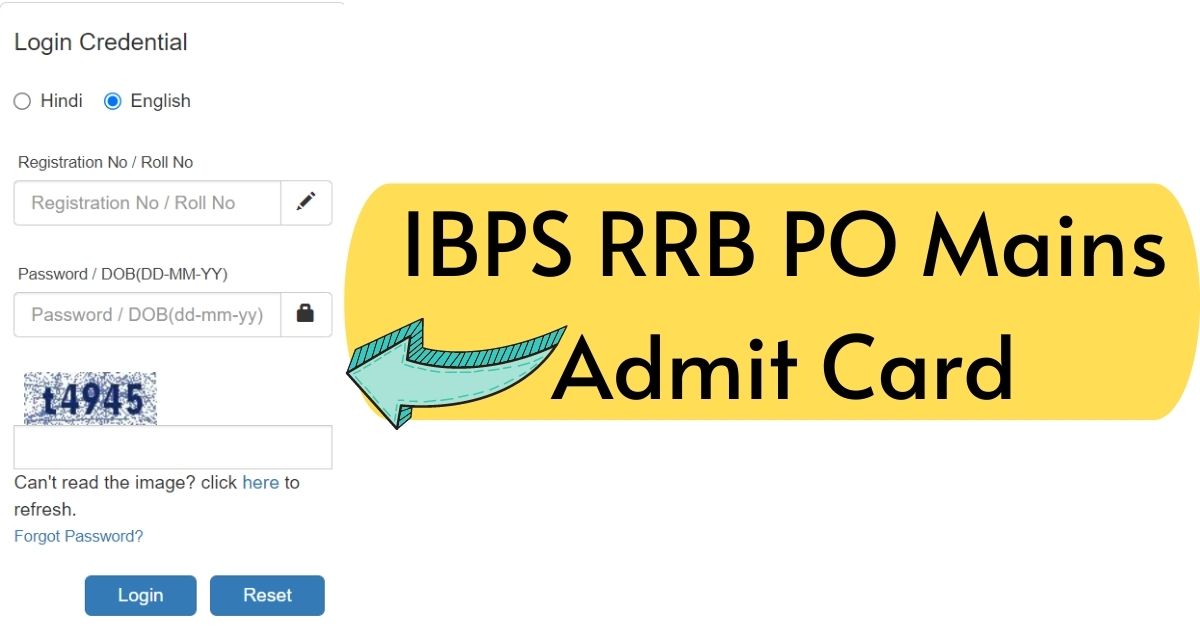 IBPS RRB PO Mains Admit Card