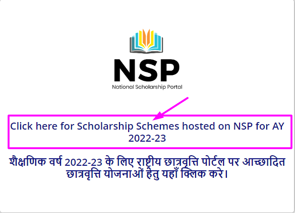 NSP 2022 Pre-Matric scholarship process